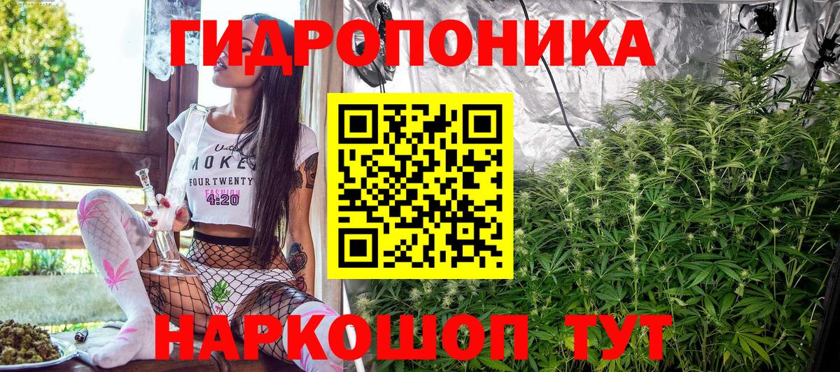 Шадринск  Каннабис планчик  Вход с VPN  МАРИХУАНА планчик  Каннабис тримм 